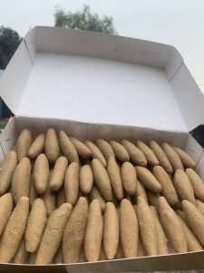 প্যারা সন্দেশ